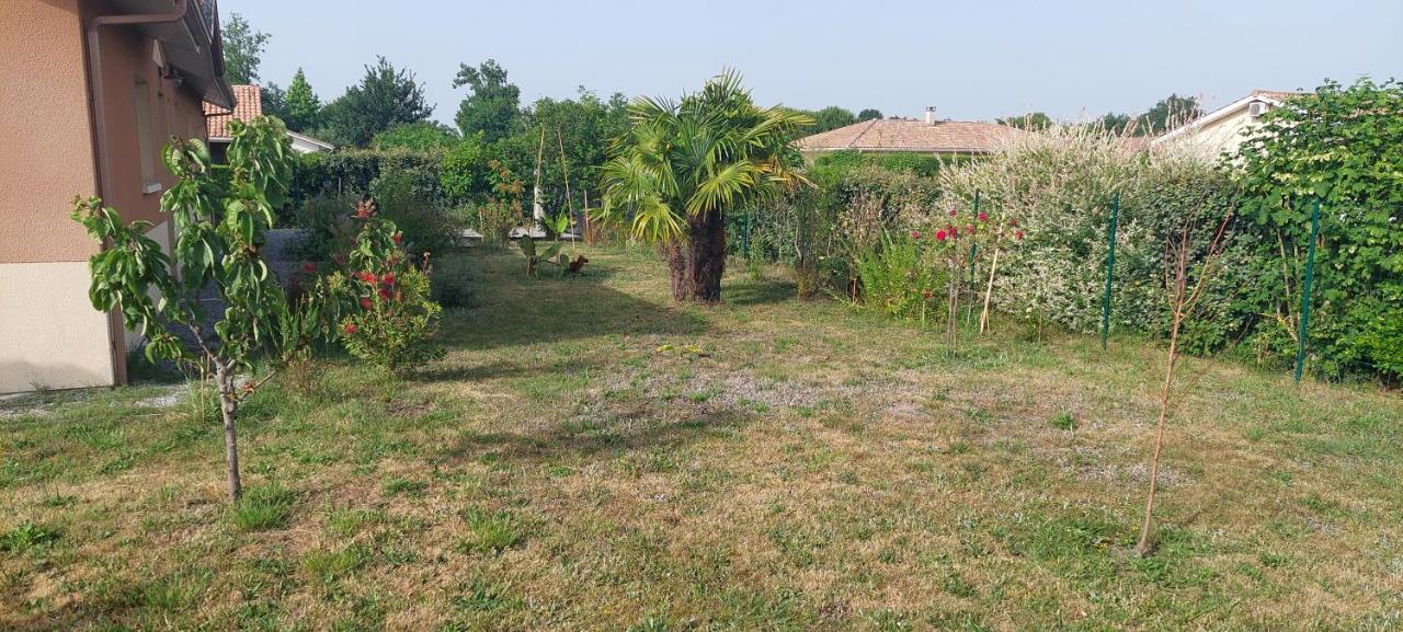 Gite des Pins Aureilhan  Extérieur photo